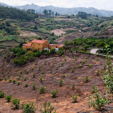 Las Casas De Lola Y Rafael Moya  エクステリア 写真